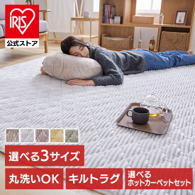 ＼10%ポイントバック☆彡〜7/28 9:59迄／ラグ 洗える 厚手 おしゃれ オールシーズン ラグマット 北欧 おしゃれ 保温 抗菌 防臭 床暖房 フランネルラグ（針抜き）190×190 190×240