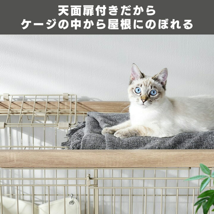 楽天市場】＼10%ポイントバック☆彡〜7/28 9:59迄／猫 ケージ 2段 