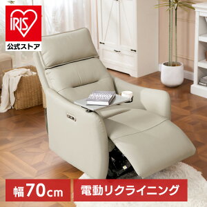 �d�����N���C�j���O�\�t�@ ���C�g�O���[ Lune-PRO-LG-JA�\�t�@ ���N���C�j���O�\�t�@ �d���\�t�@ �d�� ���N���C�j���O ��l�|�� �p�[�\�i���`�F�A �`�F�A �\�t�@�[ ���N���C�j���O�\�t�@�[ Flexi