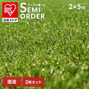 y2ZbgzlH 2×5m ACXI[} AhlH RP-3025  lH lHŃ}bg Ń}bg AlH lHŐ Ő G΍ [^Cv Ő[ Ń[