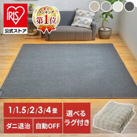 ＼5％OFFクーポン!／ ~20日 10時迄 楽天ウィークリーランキング1位獲得 ホットカーペット 2畳 3畳 1畳 1.5畳 本体 TEKNOS 電気カーペット 一人用 電気マット カーペット 電気 ダニ退治 ホットマット ミニ カーペット マット ダニ対策 冬 タイマー付 タイマー【iris_dl02】