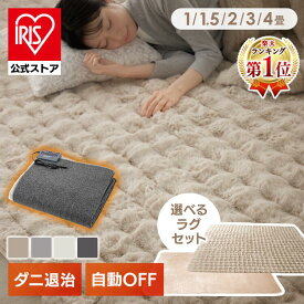 【楽天1位常連！】ホットカーペット 2畳 3畳 1畳 1.5畳 本体 TEKNOS 電気カーペット 一人用 電気マット カーペット 電気 ダニ退治 ホットマット ミニ カーペット マット ダニ対策 冬 タイマー付 タイマー【iris_dl02】