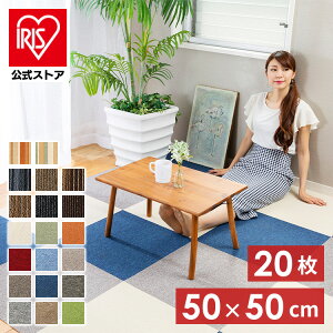 ^CJ[ybg 50×50 20  h O 􂦂 h R J[ybg J[ybg^C tA^C P TKP-PP50