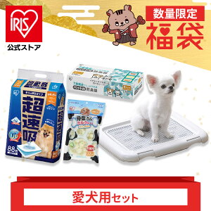  2025 zybgV[c 88 ^K ~N 32{ ybgphL 170 ybgg[    Mtg v[g yݑ  H~ t  ^ ^