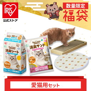  2025 VXegCpLV[g 10 VXegCpLTh 6L ܂Ƃ zbgJ[ybg STCY L lR Lp lRp 킢  ܂Ƃ VXegC nbs[obO ֗ 