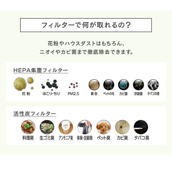 ダスト ハウス