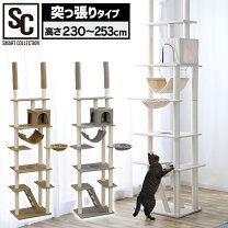 楽天市場】アイリスプラザ キャットタワーの通販