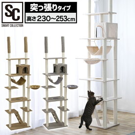[エントリーで最大P10倍/スタンプラリー]キャットタワー 突っ張り おしゃれ CCCT-4060T アイリスオーヤ送料無料 キャット タワー 突っ張り つっぱり ネコ 猫 遊び道具 室内 ペット用品