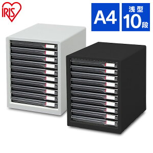 y10%OFFzItBX [ fXN ^[P[X o XX  ^10i X^Cv L-10SR ގ[yiris_dl04z