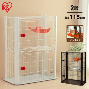 nbNt LbgP[W 2i P-CSC-902L P[W Q[W 2i L   Eh~ XChhA XCh CeA  nbN VbN 킢 X