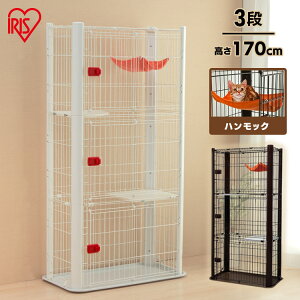 L P[W nbNt LbgP[W 3i P-CSC-903L P[W Q[W 3i L   Eh~ XChhA CeA   nbN 킢 X