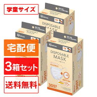 ＼20%ポイントバック★22日9:59迄／【3箱セット】アイリスオーヤマ マスク 不織布マスク 30枚入 20PN-30P…