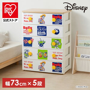 `FXg ^X i 5i 73 fBYj[ [P[X LbY`FXg vX`bN q 킢 gCXg[[ [ ACXI[} NHG-W725TP *