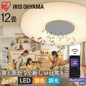 yzV[OCg Xs[J[ 12 Bluetooth CEA-2112DLSP Xs[J[  LED V[O Cg 炢 LED  F Xs[J[ y TEh Ɩ    ACXI