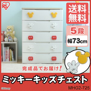 `FXg ǂ q LbY rO ~bL[V[Y LbY`FXg 5i MHG2-725 ACXI[}