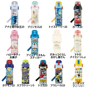  LbY y ۗ XeX  580ml SDC6N {g  XeX qp LN^[ V Ew XP[^[ fBYj[ sNT[ TI h gg |P