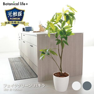 pL 23027  pL tFCNO[ ϗtA G} R L CeA ^ lHϗtA  zCg O[yTDz ysz