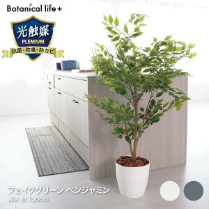 xW~ 23029  xW~ tFCNO[ ϗtA G} R L CeA ^ lHϗtA  zCg O[yTDz ysz