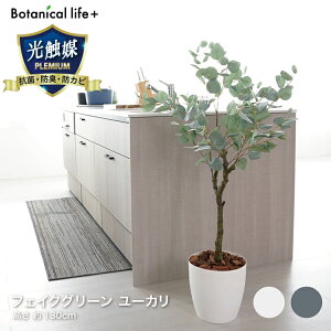 [J 23030  [J tFCNO[ ϗtA G} R L CeA ^ lHϗtA  zCg O[yTDz ysz