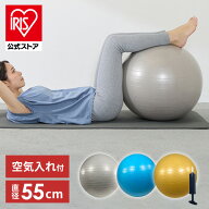 [エントリーでポイント最大10倍/スタンプラリー]バランスボール55cm 23-187バランスボール フィットネス …