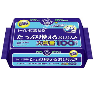 ANeB gCɗ Ղg ӂ 100 ANeB ӂ G^I ʂ^I p gCɗ e mAR[ EFbgV[g ނ