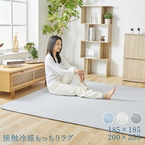 楽天市場】接触冷感ラグ2畳の通販