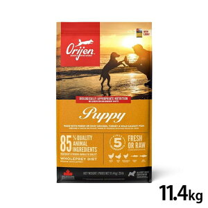 �h�b�O�t�[�h �� �t�[�h �I���W�� �p�s�[ 11.4kg ORIJEN �h���C �y�b�g�t�[�h �h���C�t�[�h ���p