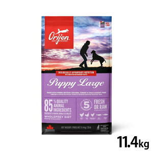 �h�b�O�t�[�h �� �t�[�h �I���W�� �p�s�[���[�W 11.4kg ORIJEN ���p �y�b�g�t�[�h �h���C �h���C�t�[�h