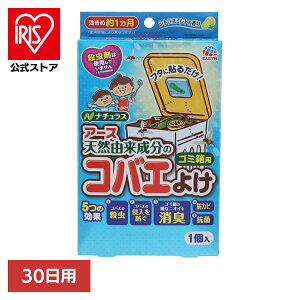 PApi 悯 oG RoGȂA[X S~p VgX ~g 30p A[X [ 쏜 h S~ Lb` 䏊 L A[X