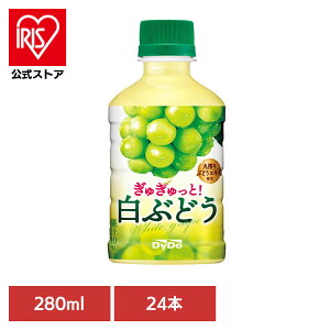 _Ch[ PET ʏ` ガƁIԂǂ×24{ _Ch[ PET ʏ` Ԃǂ Ԃǂ ql W[ PET ^ ݐ؂TCY _Ch[hR