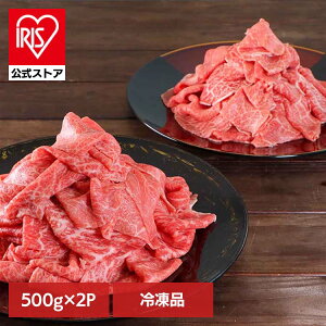 BYa؂藎Ƃ500g×2pbN FG-700yⓀz 901166044BYa a ؗ ؂藎Ƃ e Ԑ؂  Mtg ii  {tbVt[h yTDz ysz
