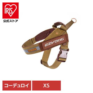 EZ GNXvXn[lX XS R[fC n[lX ^ ȒP  v ₷    