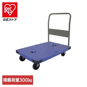 �T�C�����g�}�X�^�[ �u���[ DSK-302�����^���ԑ�^ �T�C�����g�}�X�^�[ �Â��ɓ��� ������Ѓi���V��