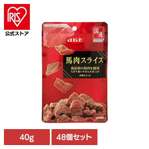 nXCX 40g×48 frt d.b.f     U g[c XibN ق  c VjA frtybg