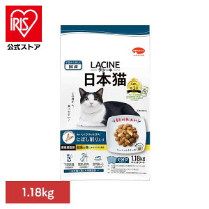 V[l{Lɂڂ1.18kg 1011315 {ybgt[h FY btďC Lbgt[h {ybgt[h