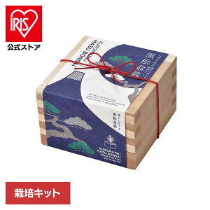 \_e}X ~͍͔|Zbg  GD-84601͔|Lbg ͔|Zbg  V| BONSAI qmL SEISHIN Mtg yY
