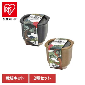 y2ZbgzThe BONSAI ͔|ZbgiEԏj ͔|Lbg ͔|Zbg  ԏ V| SEISHIN  Mtg