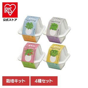 y4ZbgzGbOO GRi~gEoWEChXgx[Elt̃N[o[j ͔|Lbg ͔|Zbg ~g oW ChXgx[ lt̃N[o[ V