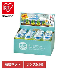 ĂJvZ 䉱Ńn[u͔| GD-1035͔|Lbg ͔|Zbg n[u V| SEISHIN ~j Ђ邿  _