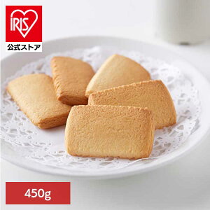 i󂠂jkCo^[NbL[ 450g SM00011370NbL[ o^[NbL[ Ăَq TNTN rXPbg  킯 َq  e