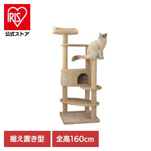 Mau^[ b`GbO x[W mt-038Mau Lbg^[ Lbgc[ gݗ LXNb`[ Lߋ ܂Ƃ |[ Lxbh ^s