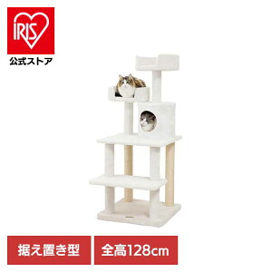 Mau^[ RR ItzCg mt-047Mau Lbg^[ Lbgc[ gݗ LXNb`[ Lߋ ܂Ƃ |[ Lxbh ^s