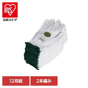 a 2{҂ GR 12og AG6500R 500g a O[bN { ĂԂ DIY Ɨp 쏤X