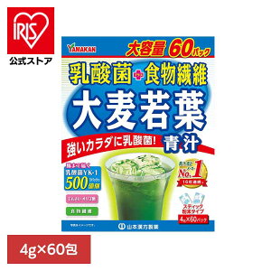 _ۑ唞t 4g×60 NHi 60pbN R{ ` N R{ v