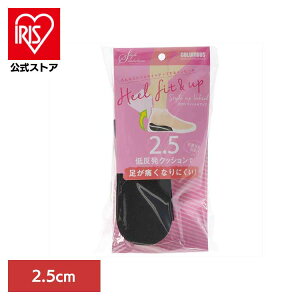 X^C\[VJJgtBbgAbv2D5cm pi V[PA ~ C\[ ᔽNbV X^CO ƃAbv g X^CAbv 2.5cm ijRu