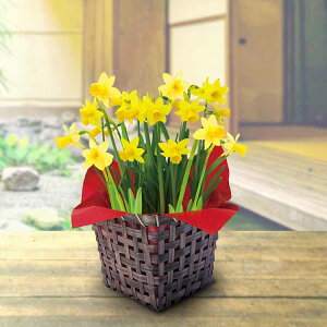 ~jue[^e[gv aĕt  t̉ ᒆ  O  F ϊ t t yTDz ysz