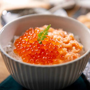 �k�C���Y ���g���Ƃ�����Őe�q���Z�b�g �� ������ �e�q�� �����瘥 �g�� �ݖ��Ђ� �M�t�g �Ⓚ �yTD�z �y����s�z