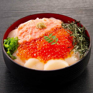 �k�C���C�N���Z�b�g �C�N���Z�b�g ������ �ݖ��Ђ� �� �g�� �ق��� �L�� �C�N�M�t�g �Ⓚ �yTD�z �y����s�z