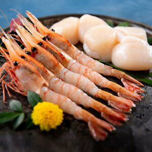 �k�C���Y �ڂ��񂦂сE�ق��ăZ�b�g �ق��� �L�� �ڂ��񂦂� �h�g �M�t�g �Ⓚ �yTD�z �y����s�z