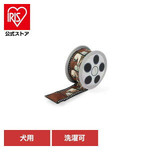 z[[E[tVl} [r[tB p ybgp pʂ V vȂ  Ɋ΂ v[g i fUC [N